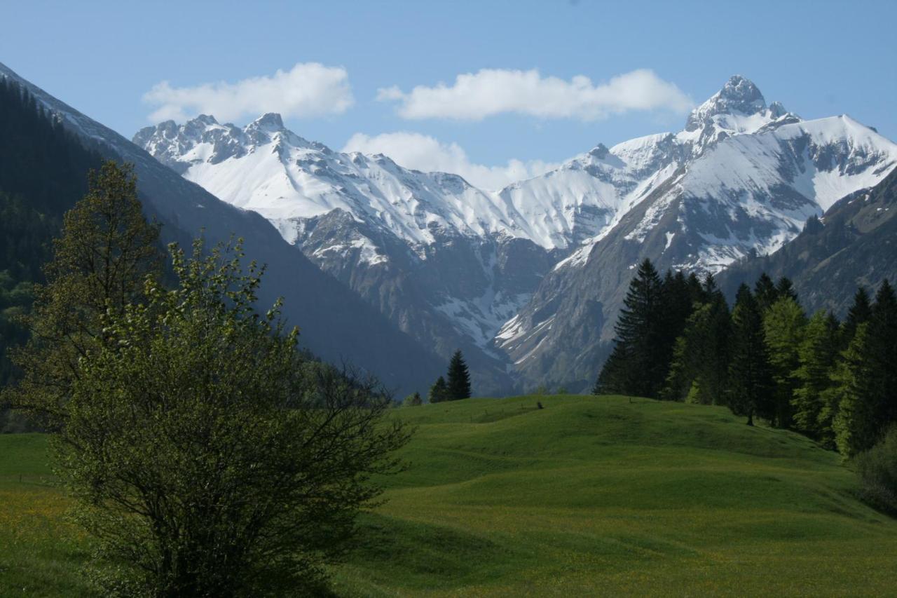Berggasthof Riefenkopf Oberstdorf Exteriér fotografie